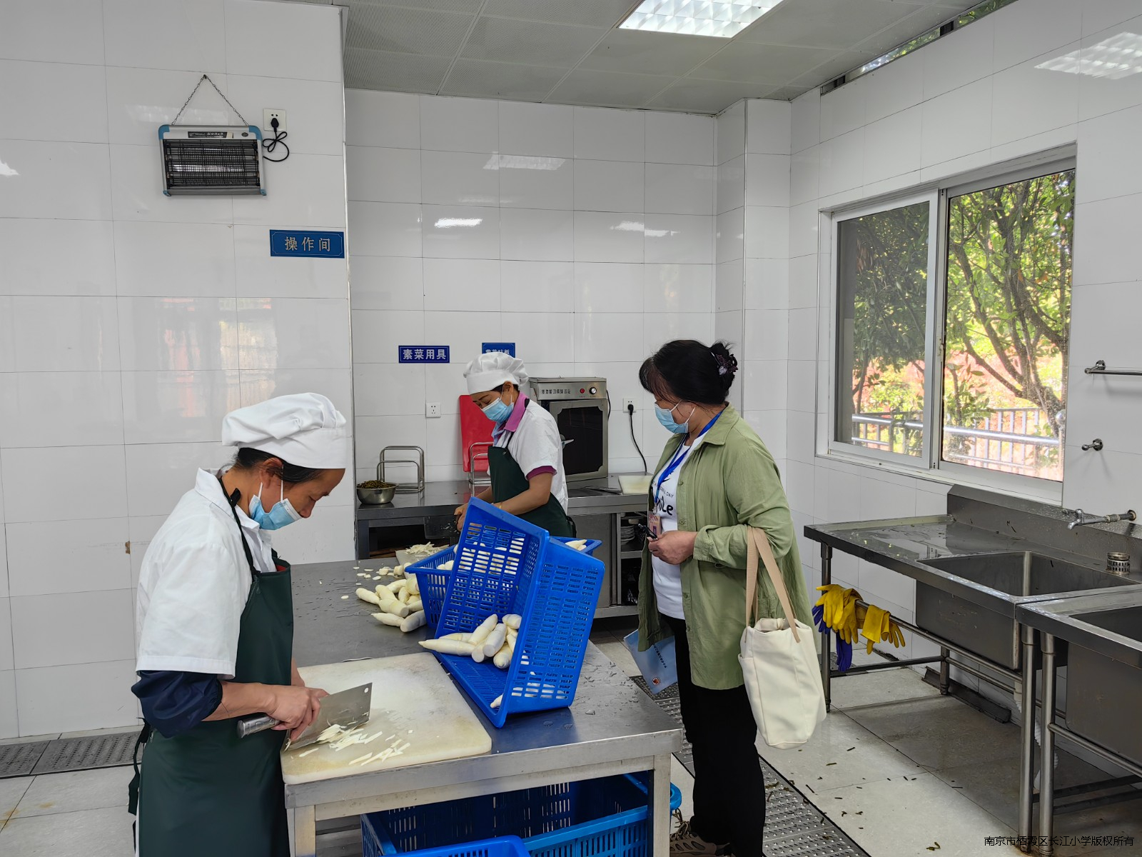 Image_1715647091161.jpg