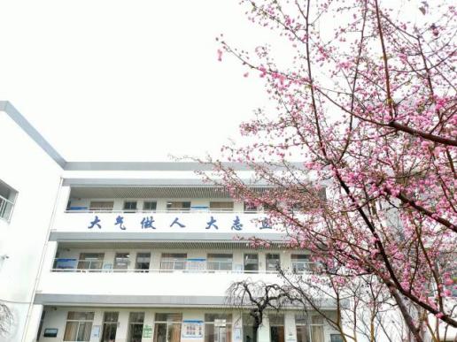 长江小学五1班马小贝《保护生态环境从我们做起》_html_m7b7d1d9e.jpg