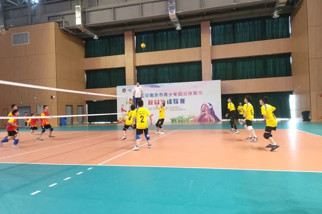 排球_html_m7b08158b.jpg