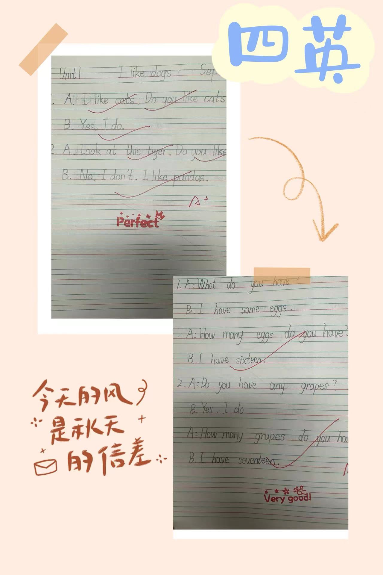 12.8【尚美迈小·学科研究】“查”规范 “秀”精彩 “促”提升 _html_81ee5de.jpg