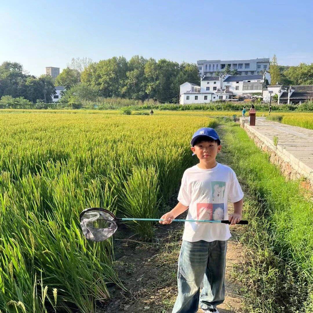 二4班 杨灿.jpg