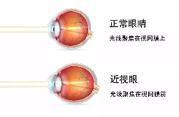640 (5).png
