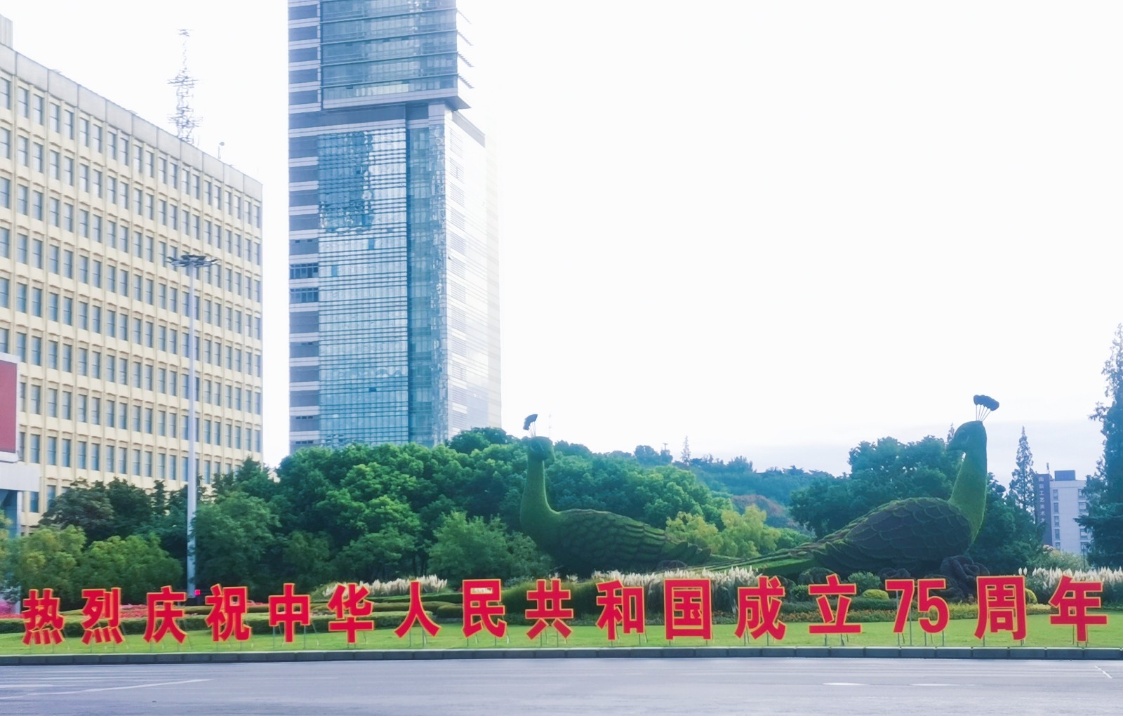 李峰.jpg
