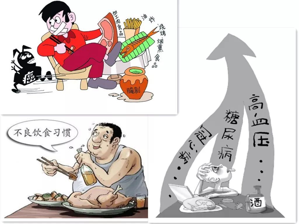 肥胖与健康.jpeg