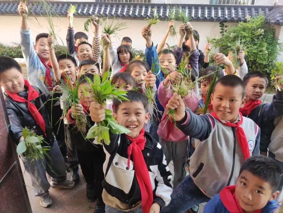 1686720249674.jpg 1686720249674.jpg