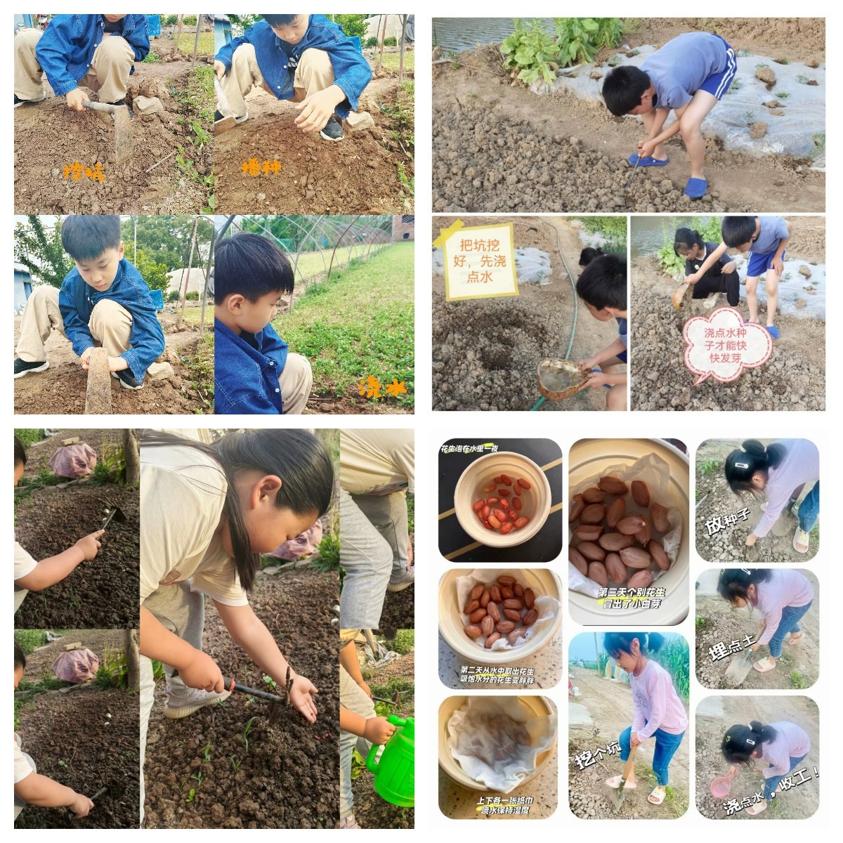 未命名3.jpg