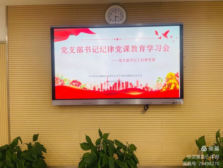 【灵美龙小·党建】“党支部书记纪律党课教育学习会之党支部书记上纪律党课”主题教育学习