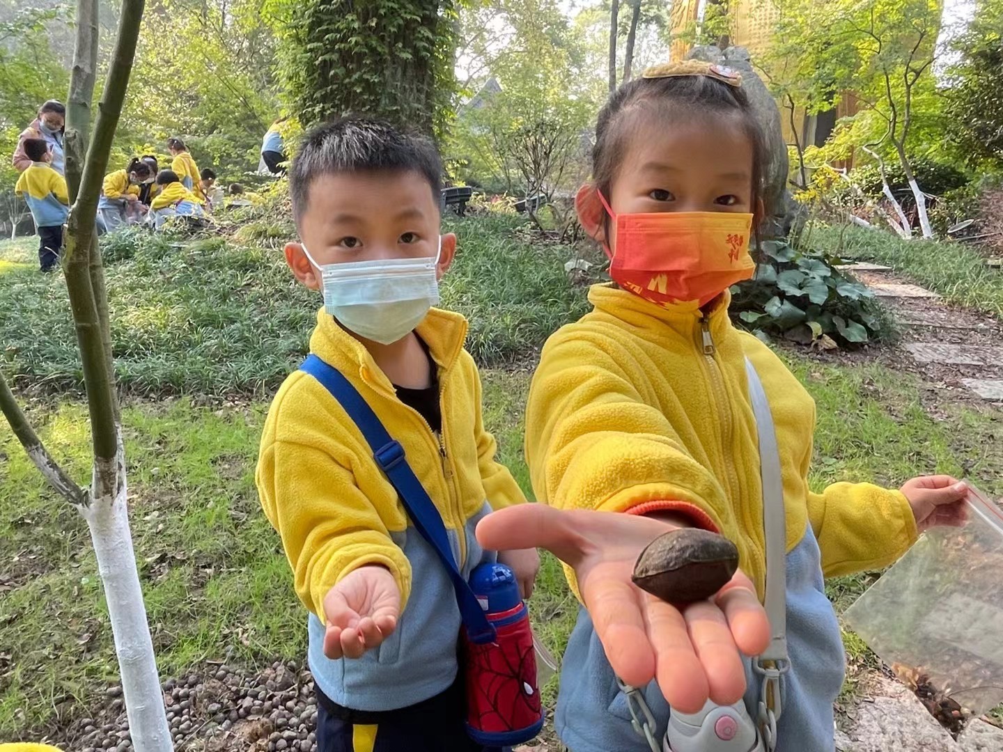 【枫香栖幼】秋日栖霞 山中拾趣  ——记栖霞幼儿园五福园大一班家长助教活动