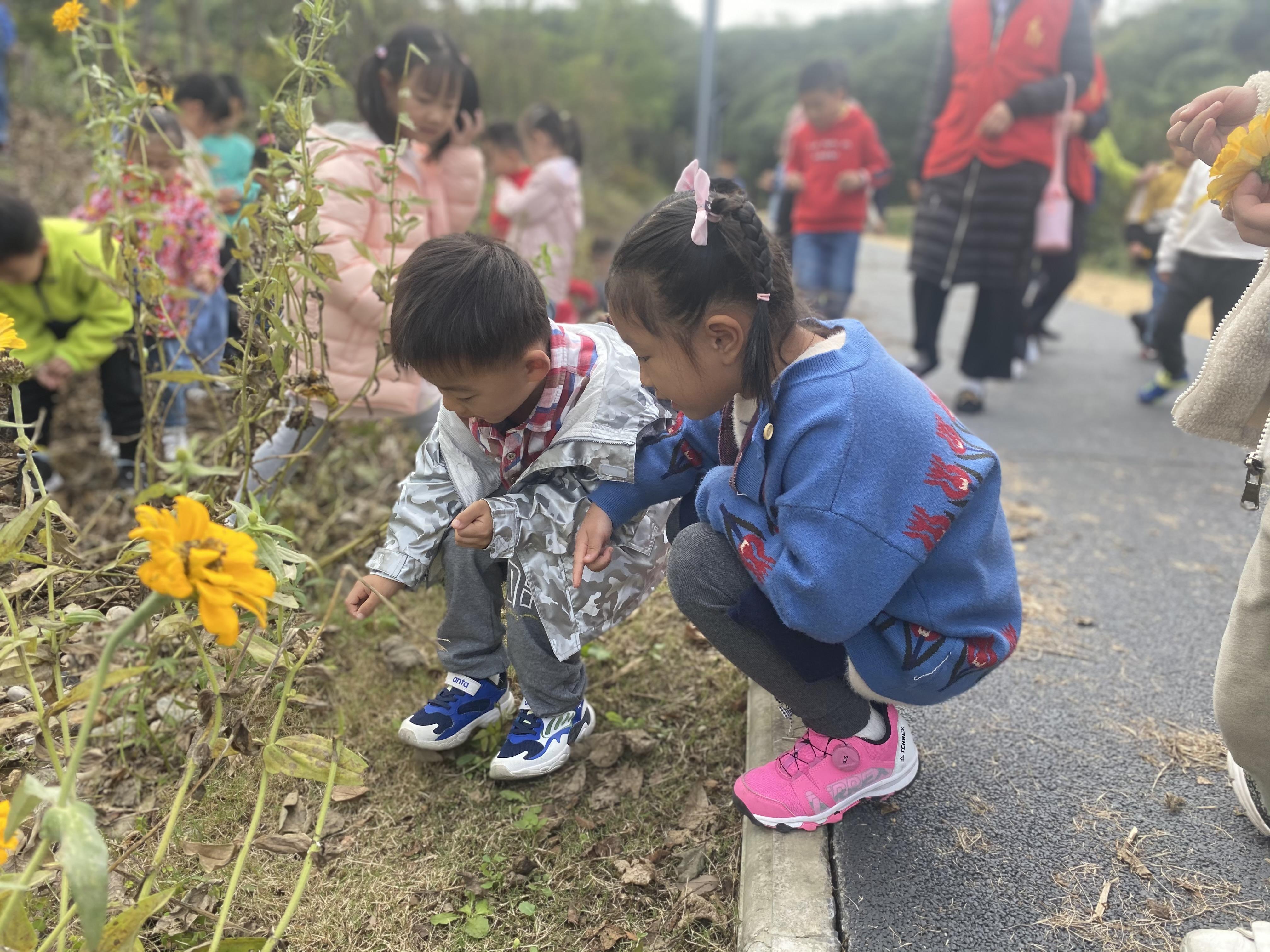 211018种子之秘 山林趣探_html_253f7d09.jpg