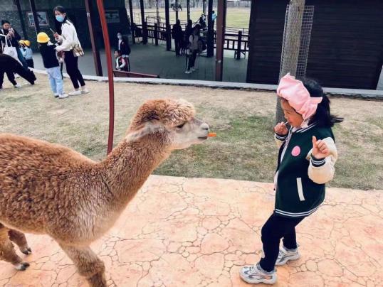 230331爱在春天里 乐在动物园 栖霞幼儿园亲子春游活动_html_3998a8fc.jpg