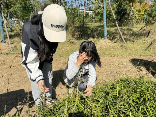 231020聚焦周边资源 助力师幼成长——栖霞幼儿园翡翠天悦园大班年级组课程审议活动（二）_html_m154865b0.jpg