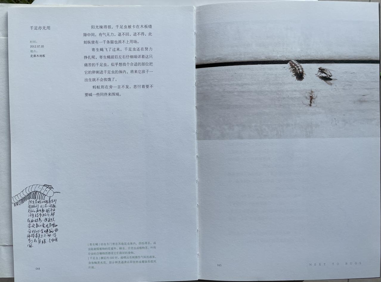 【博学广志】文化育人视域下儿童“慧语文”学习系列探索——金陵小学（广志路校区）语文组线上教研（五）_html_m5263561b.jpg