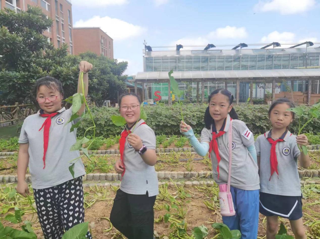 【博学广志】夏日劳作晓农事 科技研学促成长——记金陵小学（广志路校区）7.27日劳动研学活动_html_fcd7b99.jpg