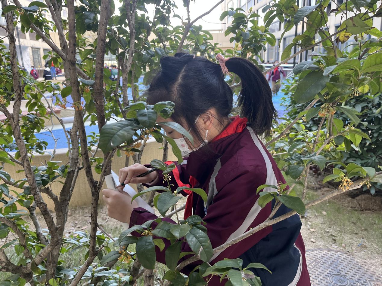 【博学广志】乘“实践”之舟踏浪 扬“素养”之帆远航——科学组校本主题研修活动学生成果板块（五年级）_html_m21e83a10.jpg