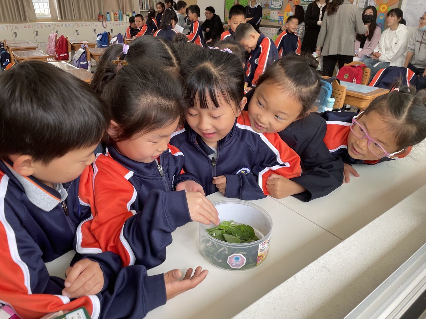 【湖畔·先锋示范】聚是一团火，散是满天星——2022-2023学年先进班集体事迹介绍（1）_html_d998eda.jpg