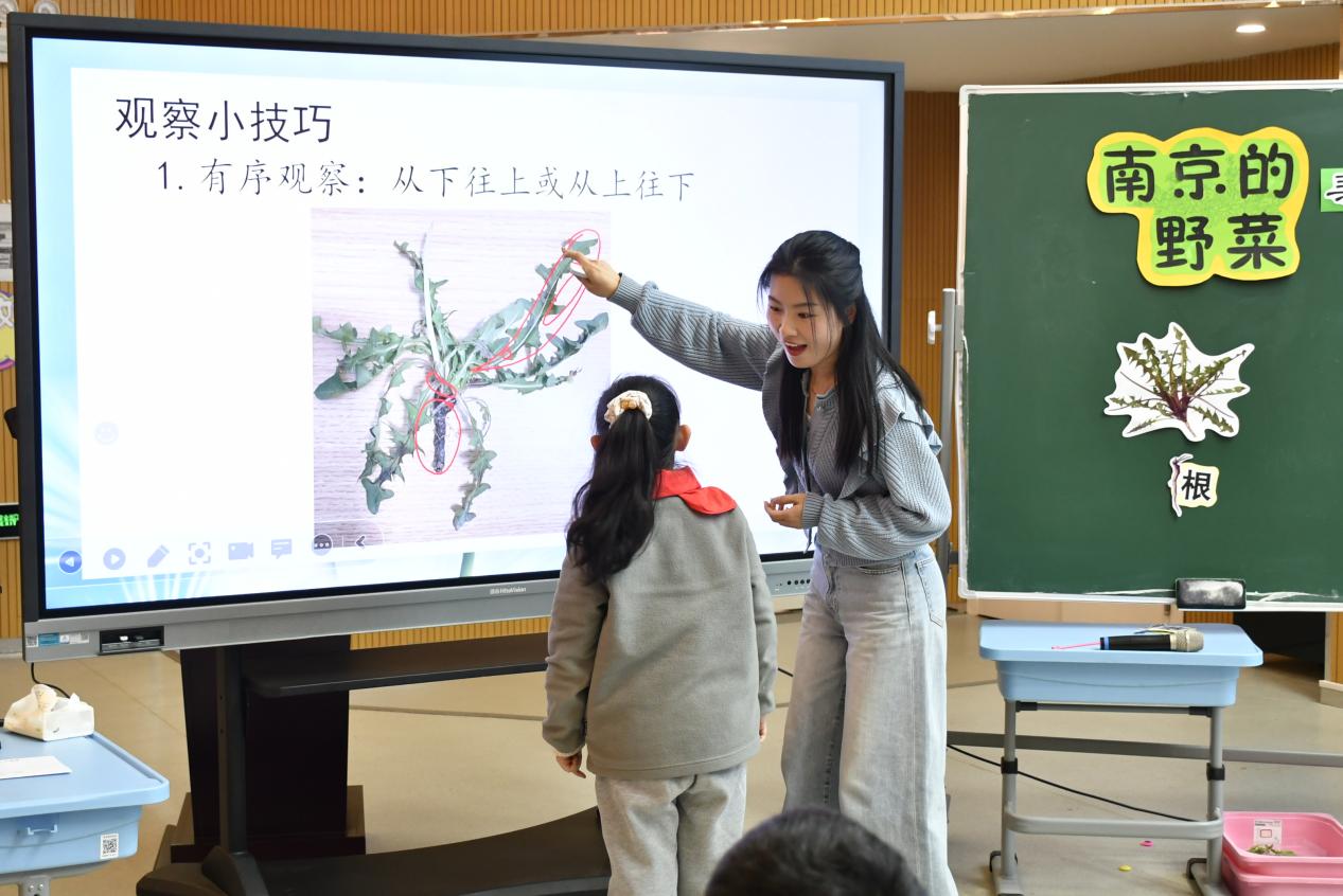 【博学广志】落实课程标准，聚焦核心素养——金陵小学（广志路校区)跨学科课程整合教学展示活动_html_m15d7a24.jpg