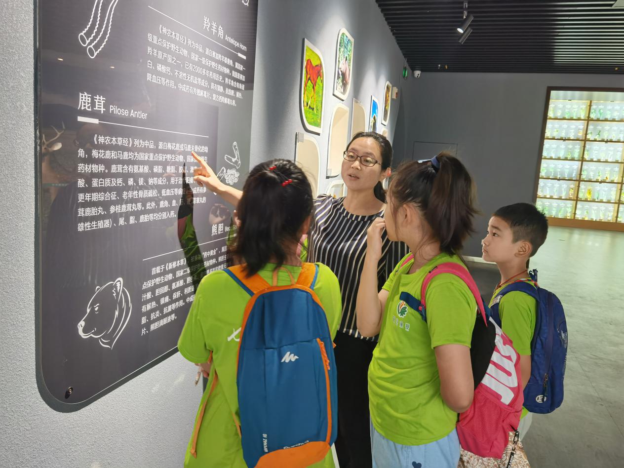 【博学广志】识医药，品文化，乐传承——“岐黄校园行”中医药文化游学夏令营顺利开营_html_2f3ac4b8.jpg