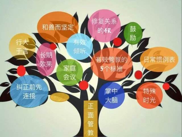 【湖畔光影】书香能致远——金陵小学（仙林湖校区）第十八周全体教师会暨读书分享会_html_4f192728.jpg