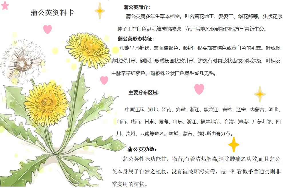 【博学广志】科普筑梦广志路，飞舞旅行蒲公英(1)_html_m5020a16c.png