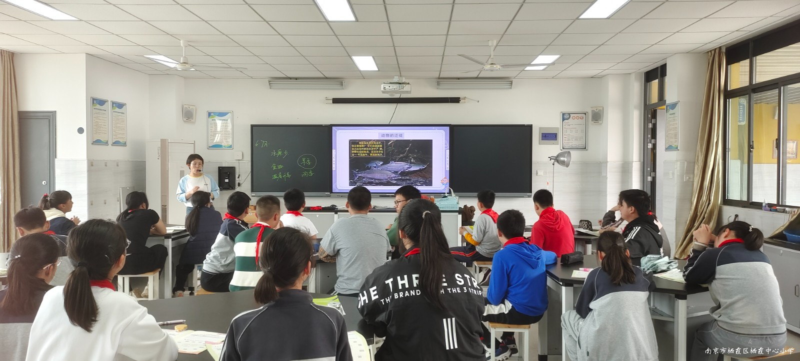 240417石小科学组校本研修活动1.jpg