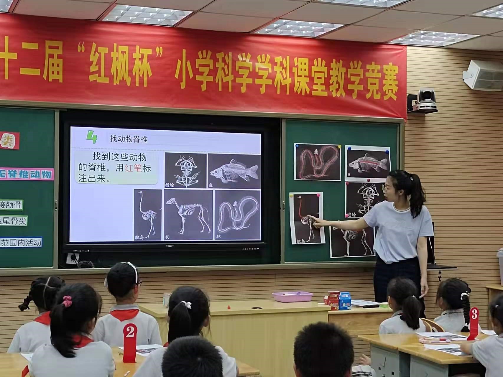 红枫杯新闻稿05.jpg