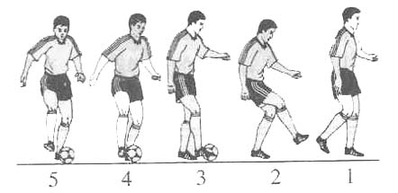 金陵小学校本课程足球教案专项课程_html_m1261c5d2.jpg