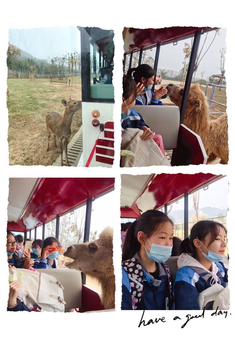 新闻稿_html_7db1f627.jpg