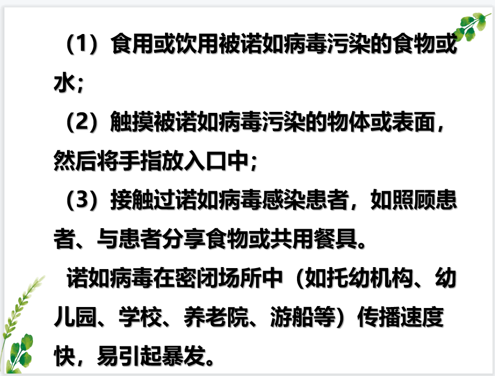 诺如病毒线上培训新闻_html_32168f34.png
