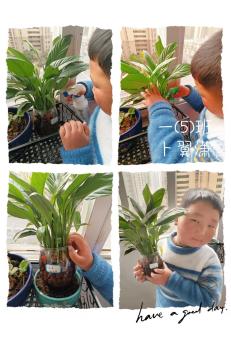 3月14植树添新绿，不负好春光植树节活动报道_html_732ae8f3.jpg