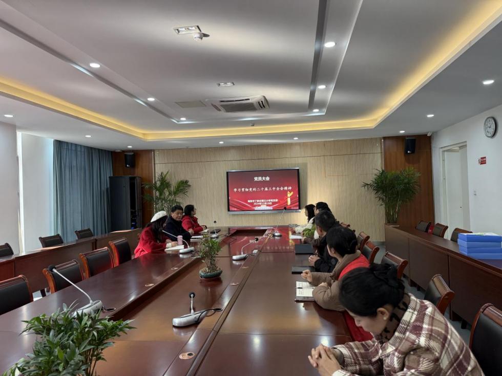 报道-20241218-南京市丁家庄第三小学党支部开展十二月党员大会活动  (1)_html_7ef8c0b9.jpg