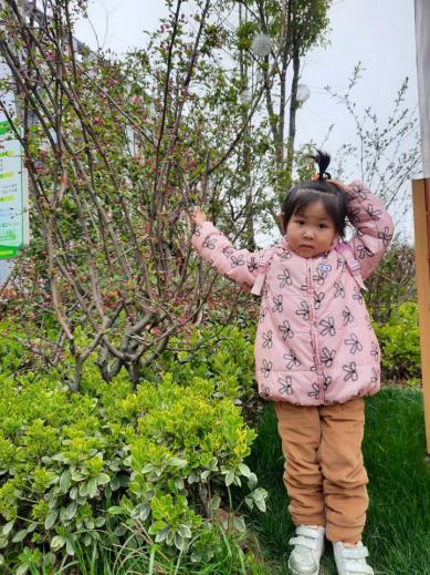 迈幼一分园3月12日植树节报道 （最终版本）_html_7aeea701.jpg