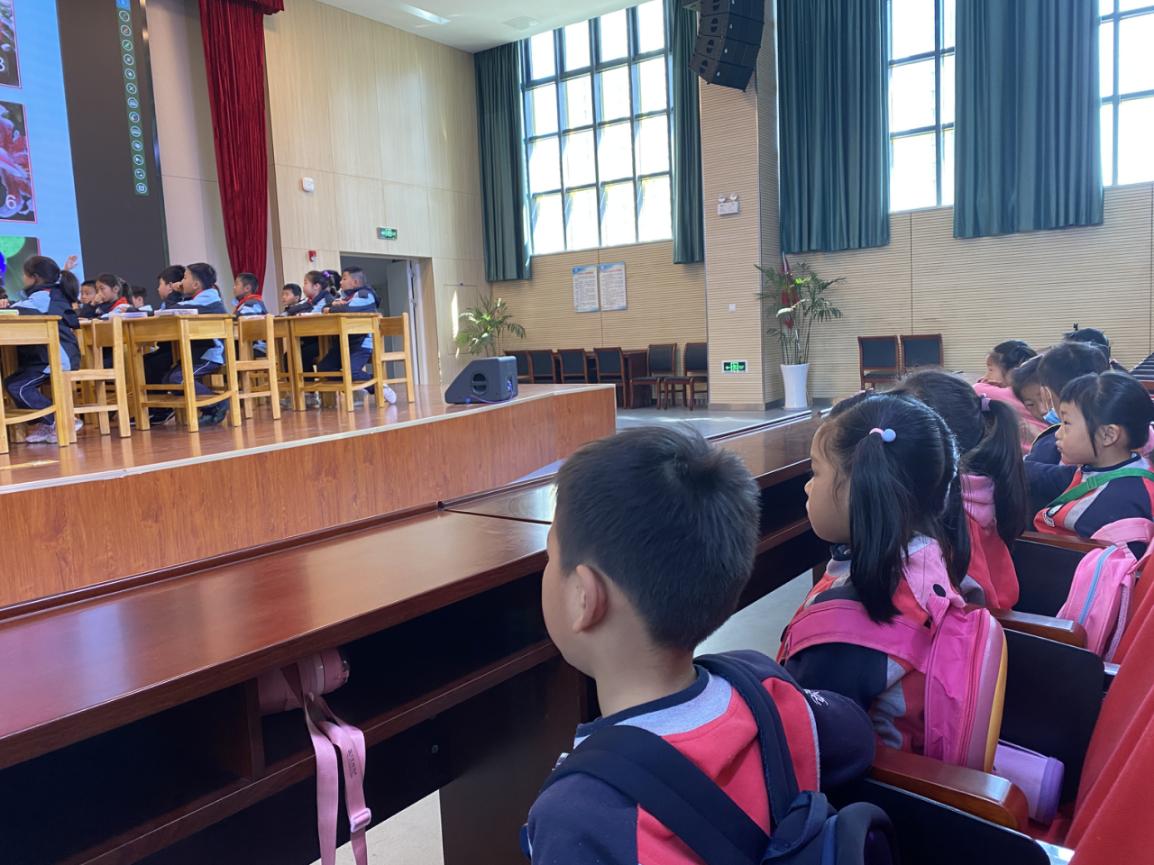 参观小学新闻稿(1)_html_m16b82711.jpg