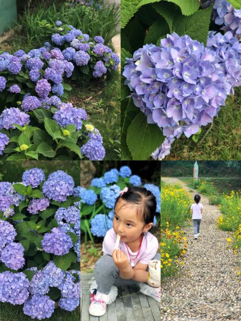 2020.6.5 汪莹 绿色生命 童心守护(1)_html_3ef32bc0.jpg