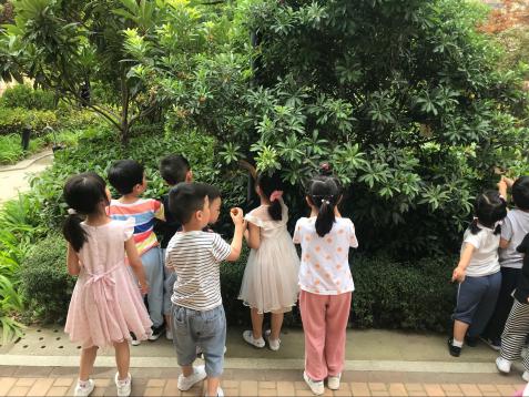 2020.6.5 高菲 芒种新闻稿_html_6feda84a.jpg