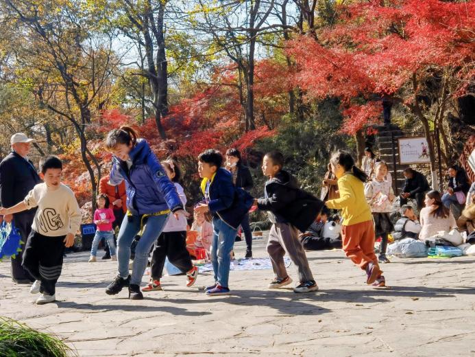 大二班报道 “枫叶之旅”_html_7cf350ad.jpg