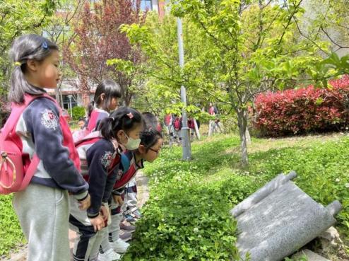 参观小学报道_html_199947f.jpg
