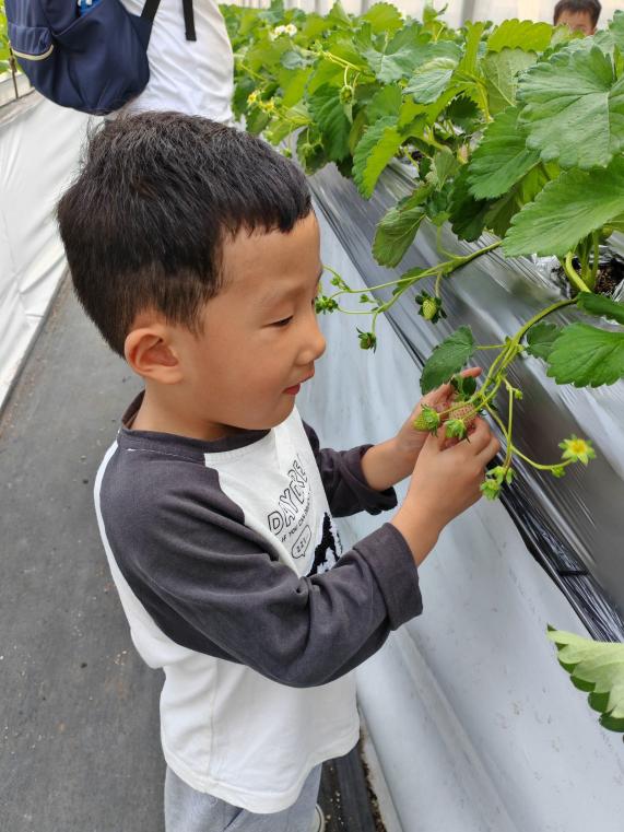定稿：【生命迈幼·留住“秋”迹】探秘秋日，悦享秋游——迈幼嘉誉山分园秋游活动 (修改)_html_53cffa37.jpg