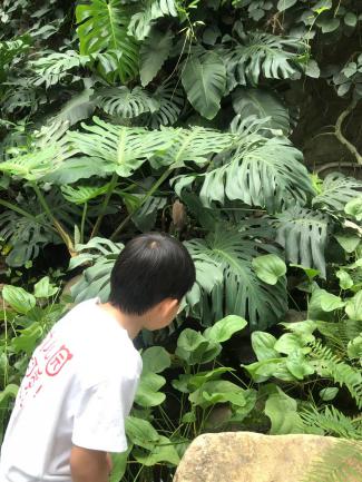 中三班家长资源活动报道新_html_25482e.jpg
