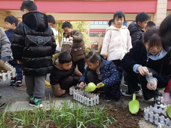 20210316新城园区大班植树节活动_html_2dc295a3.jpg