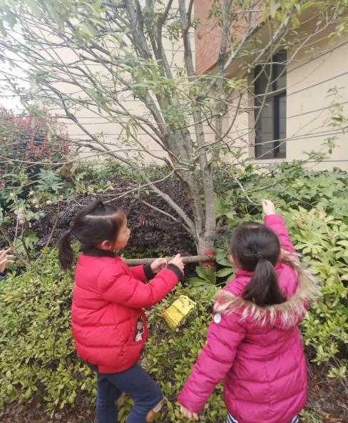 20210316新城园区大班植树节活动_html_467d7470.jpg