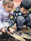 20240305中二班惊蛰节气活动_html_256b0ad8.jpg