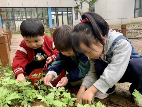20240403【生活燕幼·园区动态】“浸润童心 情忆清明”——舌尖上的节气之清明_html_m68f0d803.jpg
