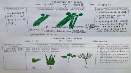 【年级组动态】祥和园区：遇见芹菜_html_m66096319.jpg