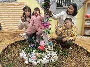 20250312植树节活动_html_3ea5a623.jpg
