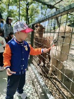 20240418燕幼中心园亲子春游活动_html_m7467d5c8.jpg
