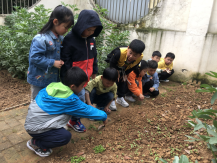 祥和园大班年级组清明项目活动新闻稿_html_mb43afc1.png