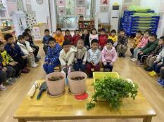 20210531祥和园种植团新闻_html_m374fdd02.jpg