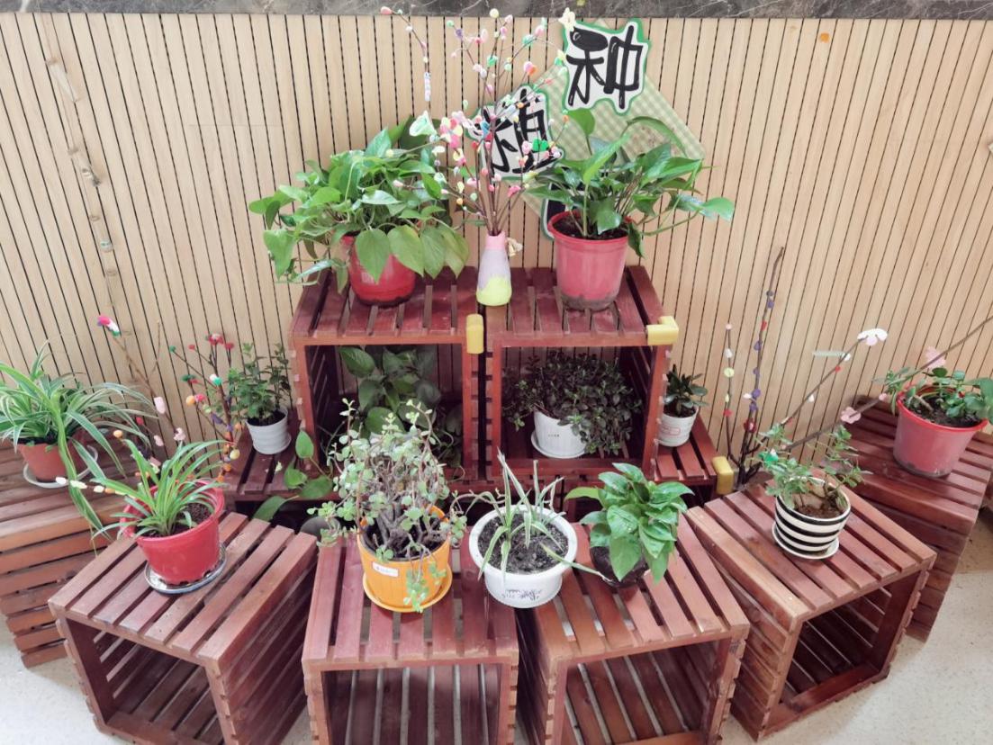 教研组动态_html_m762623e0.jpg