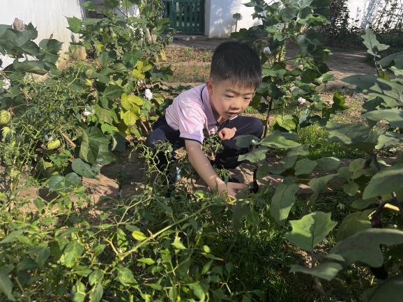 20230921  大一班秋分节气活动_html_7b15c8c7.jpg