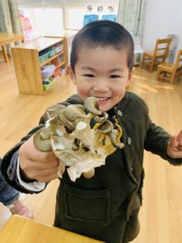 年级组动态_html_mbc80172.jpg
